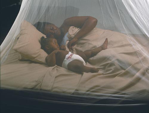 Rukungiri District Gets 2.12 Million Mosquito Nets