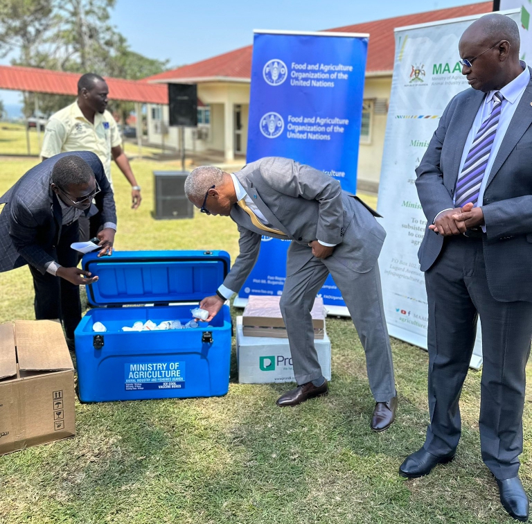 FAO Donates  Million in Vaccines and Equipment to Combat Animal Diseases in Karamoja