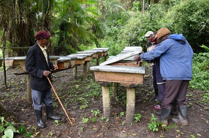 3,000 Rubirizi Residents Receive 2,100 Beehives to Combat Deforestation