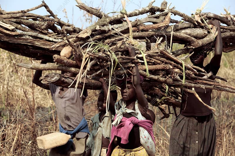 Uganda Spends 4 Trillion Shillings Annually on Refugee Firewood – Report