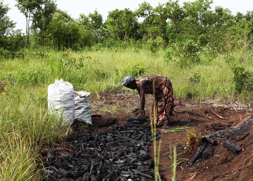 War spurs severe forest destruction in South Sudan