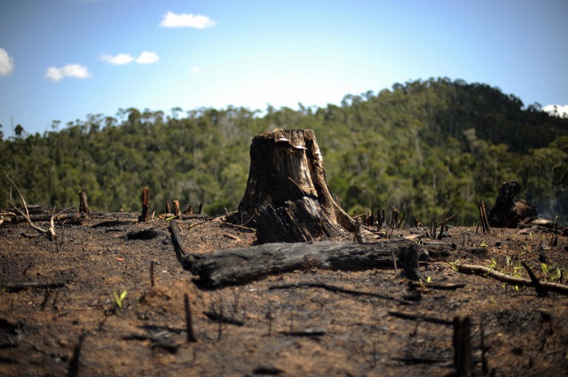 COP28: Uganda among 1st 7 to benefit from Loss and Damage Fund