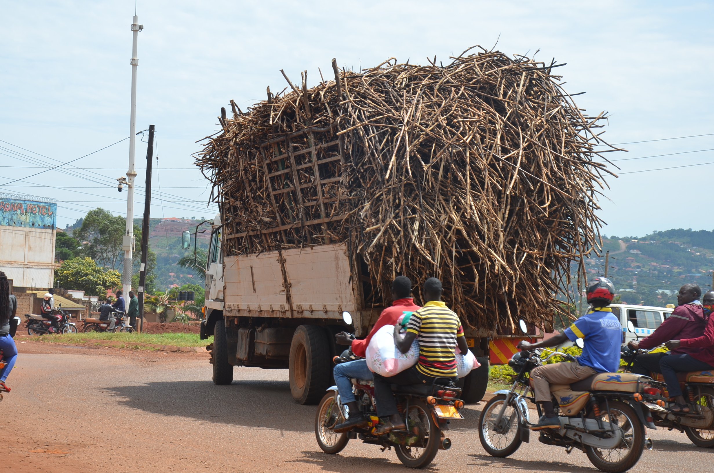 Busoga’s sugarcane prices decline by Shs65,000