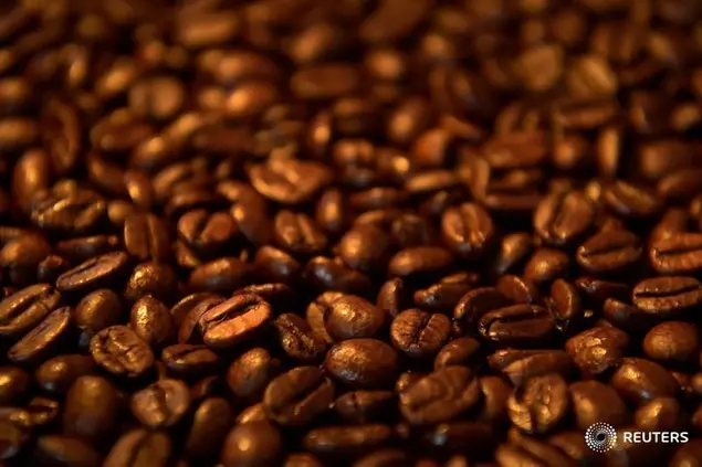 Uganda’s Coffee Exports Plummet in March 2024