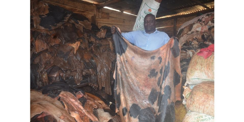 Leather Factory Closures in Jinja Leave Economic Impact, Unemployment