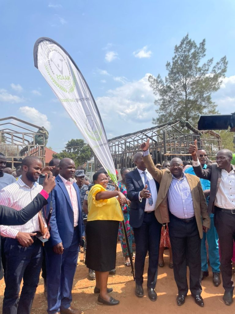 Gov’t’s Heifer Distribution Sparks Hope in Busoga